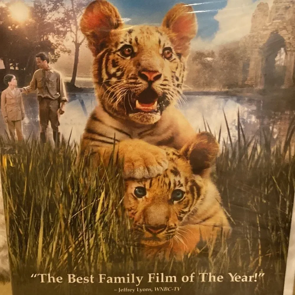 DVD Two Brothers The Best Family Film of the Year PG Widescreen 🍿3/$15 - Picture 5 of 12